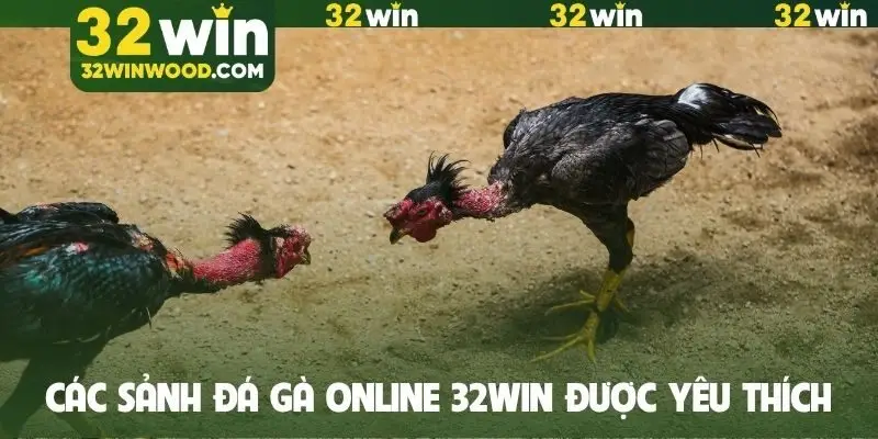 Các sảnh đá gà online 32WIN được yêu thích
