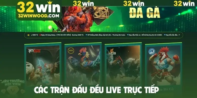 Các trận đấu đều live trực tiếp