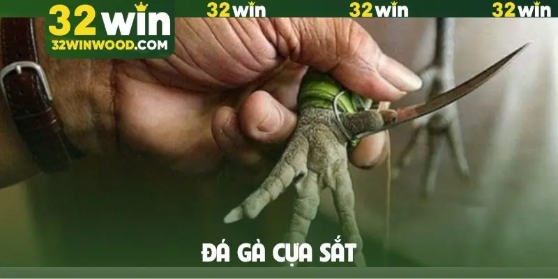 Đá gà cựa sắt