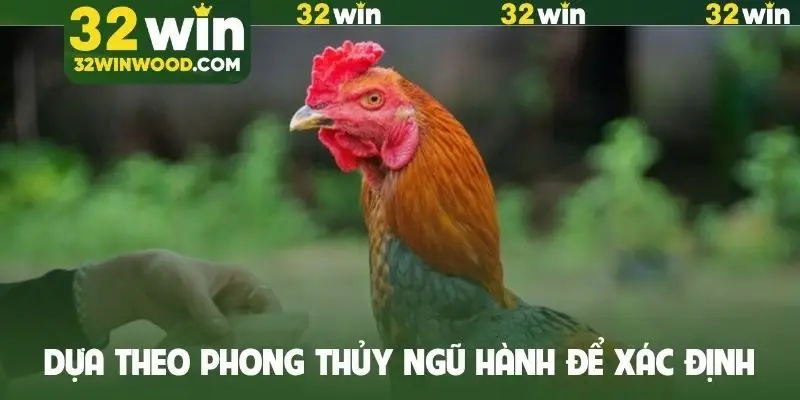Dựa theo phong thủy ngũ hành để xác định