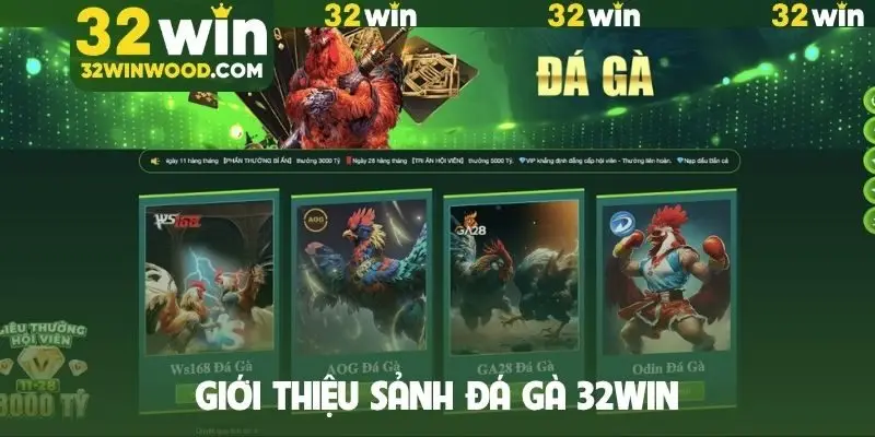 Giới thiệu sảnh đá gà 32WIN