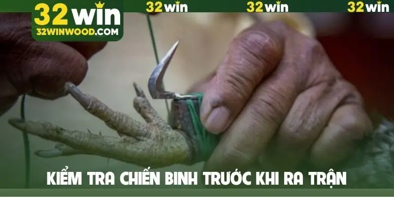 Kiểm tra chiến binh trước khi ra trận