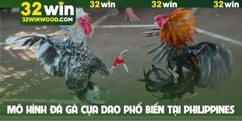 Mô hình đá gà cựa dao phổ biến tại Philippines