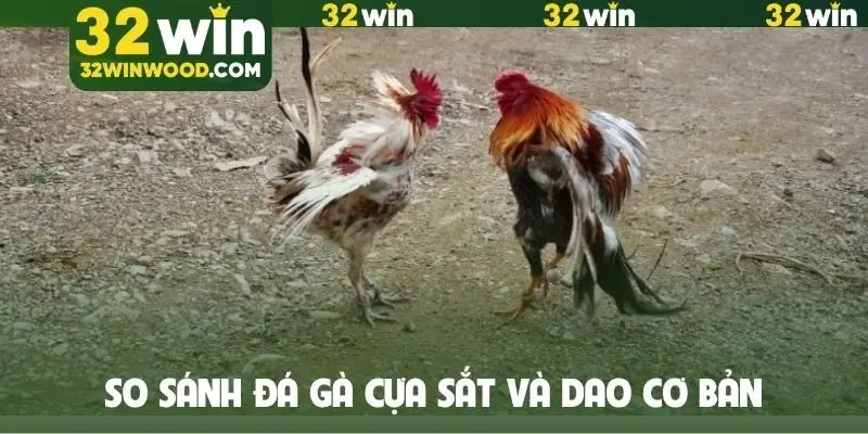 So sánh đá gà cựa sắt và dao cơ bản